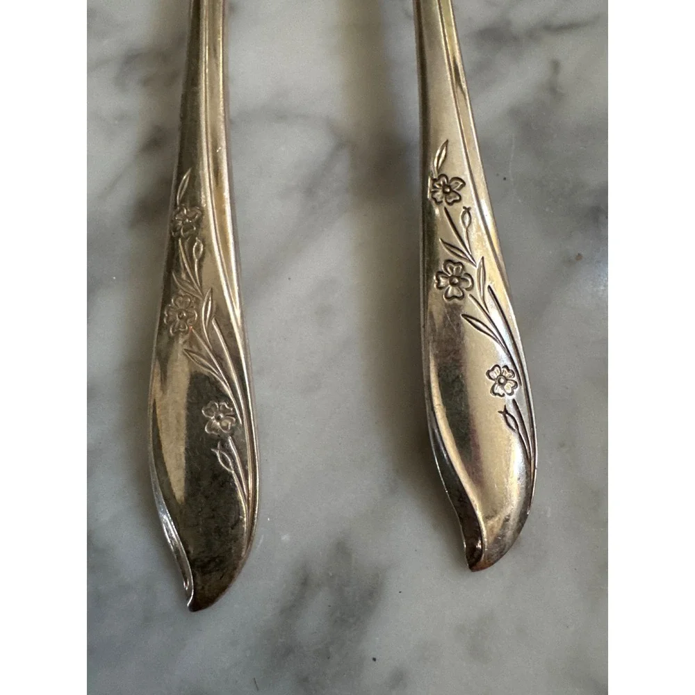 1847 Rogers Bros Springtime Silverplate Soup Spoons Set of 4 Floral Vintage IS